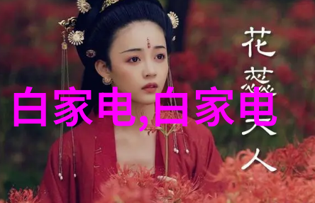 Masoneilan梅索尼兰减压阀77-60