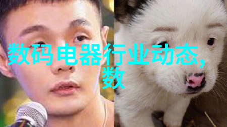 气溶胶发生器冷发带泵