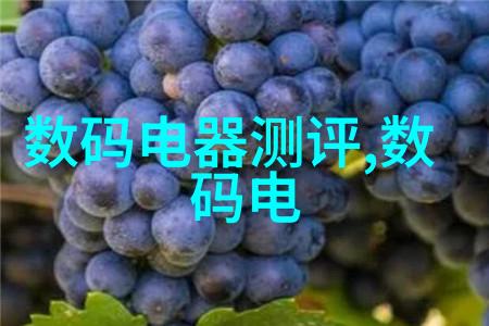FWBL 变频卧式风选机