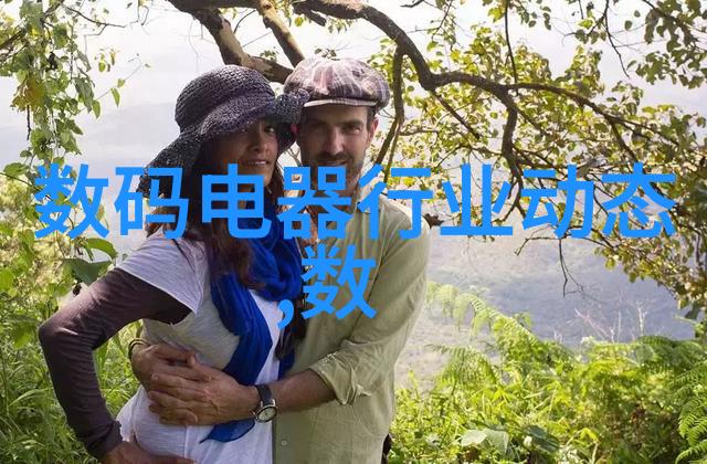 多功能针型阀厂家 安全针型阀